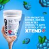 Presentación de 15 onzas de Xtend BCAA Powder