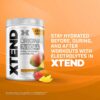 Vista trasera de Xtend BCAA Mango