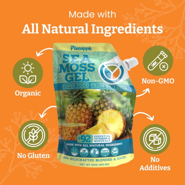 Version 1.0.0 Componentes e ingredientes del gel musgo mar