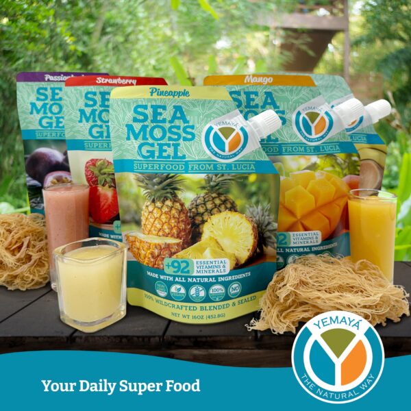 Fruta real incorporada en gel de musgo marino