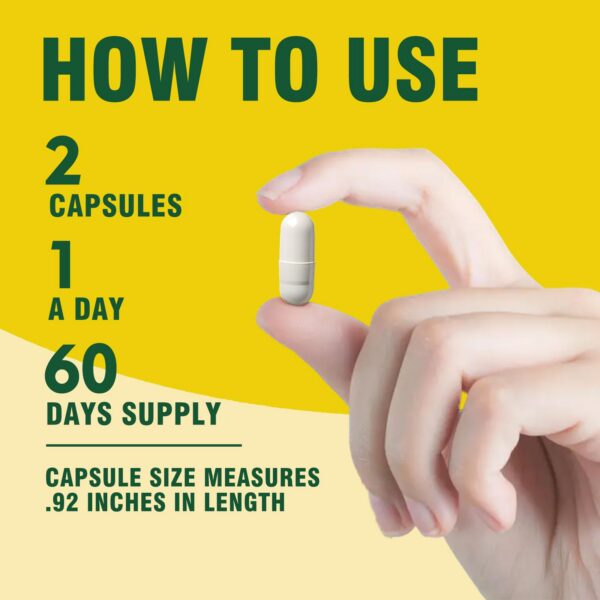 Version 1.0.0 Caja y frasco en presentación