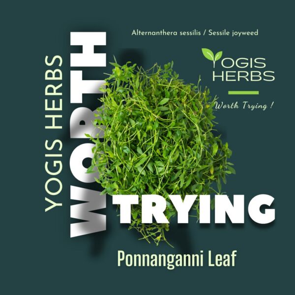 Detalle cápsulas YOGIS HERBS Ponnanganni suplemto herbal natural