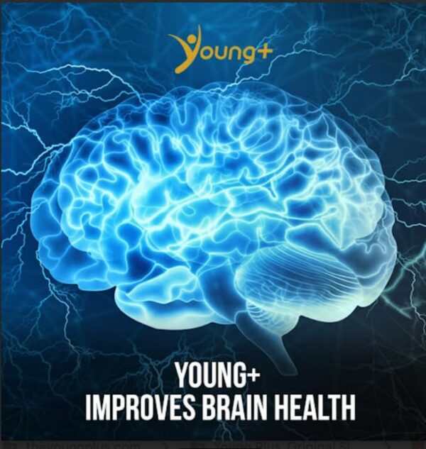 Version 1.0.0 Ingredientes en etiqueta de Young Plus