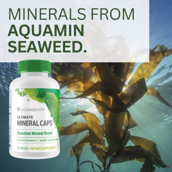 Vista superior de la caja