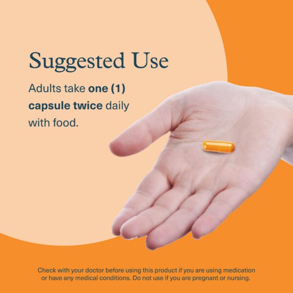 Iconos libre de gluten soja y lacteos