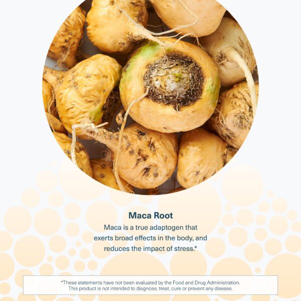 Version 1.0.0 Caja con 120 cápsulas de maca root