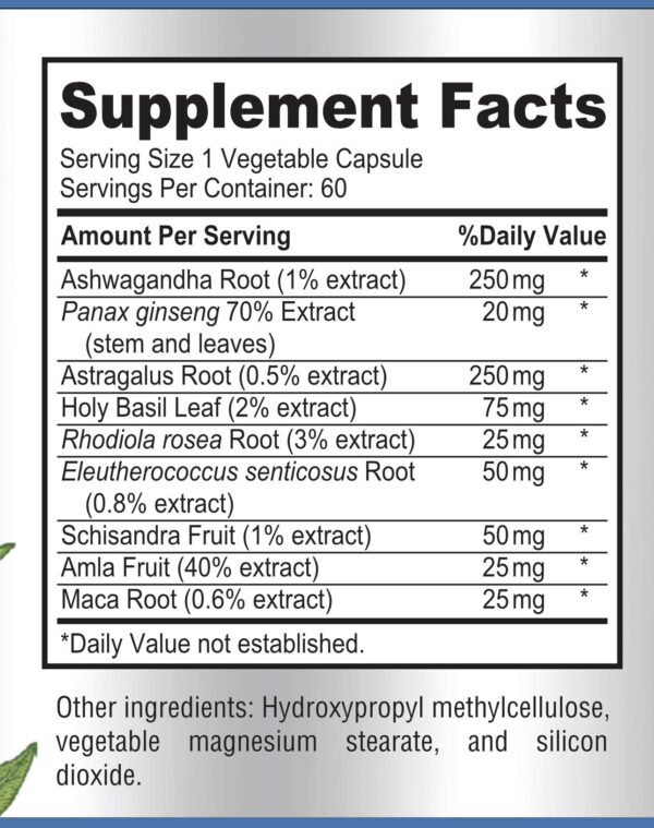 Version 1.0.0 Caja externa de YUMMYVITE