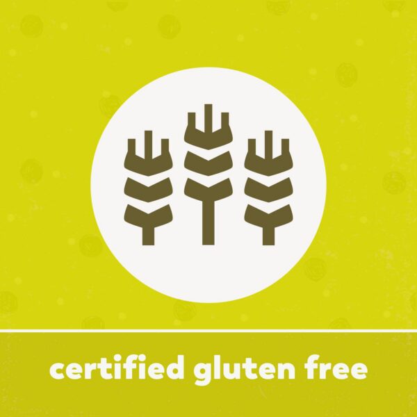 Polvo chlorella Yupik para salud y bienestar diario