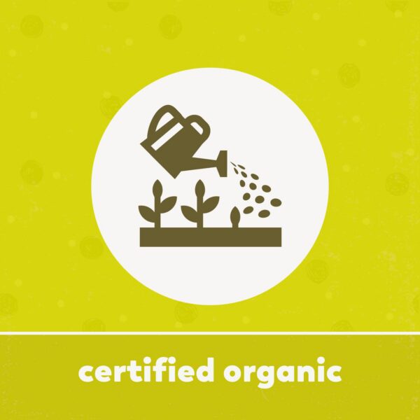 Yupik espirulina orgánica vegana suplemento polvo saludable