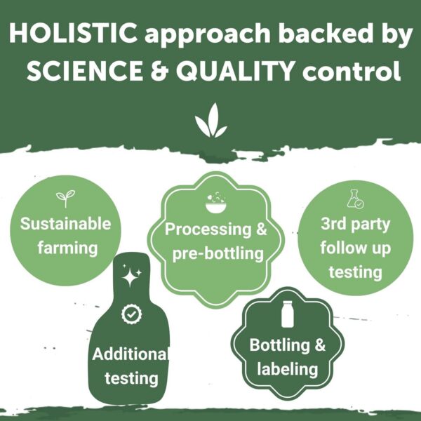 Paquete de Yuve B12 1000 mcg en caja