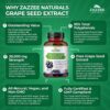 Zazzee extracto de semilla de uva para salud antioxidante