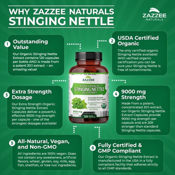 Version 1.0.0 Zazzee suplemento salud natural con ortiga orgánica potente