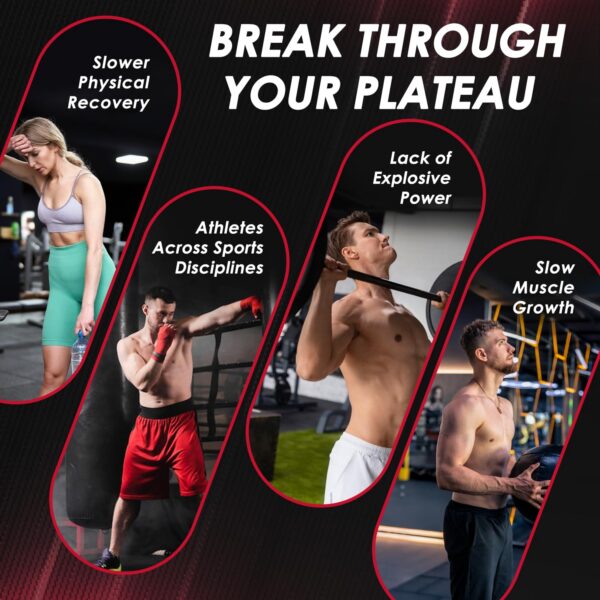 Contenedor de 1.1 libras de Zebora