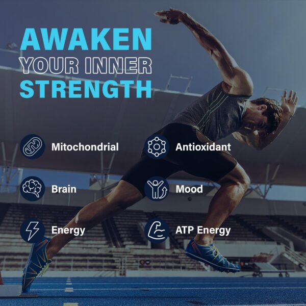 Frasco translúcido de zeolita