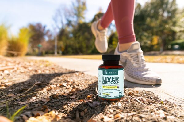 Version 1.0.0 Etiqueta lateral y especificaciones