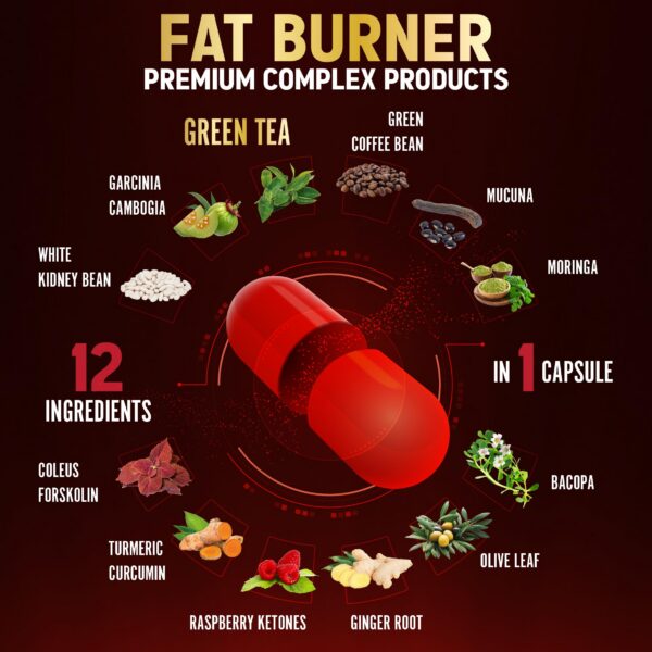Version 1.0.0 Frasco de cápsulas Zolotus en fondo blanco